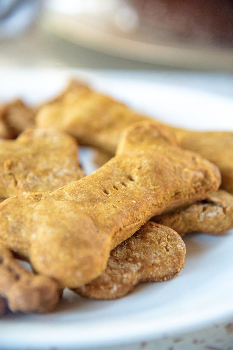 Mommy and Me: Pumpkin Dog Treats